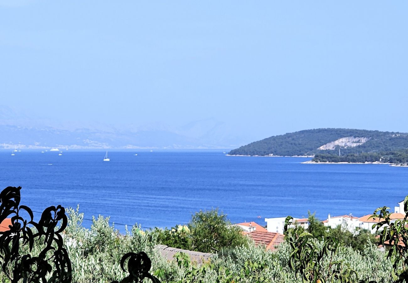 Apartment in Slatine - Villa Silva sea view penthouse with pool access A1 